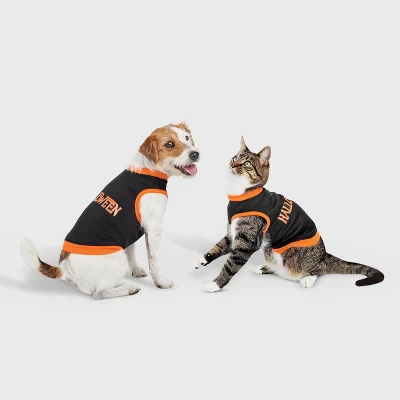 Halloween Dog And Cat Sweatshirt - Hyde And EEK! Boutique™ 4 Halloween Dog And Cat Sweatshirt - Hyde And EEK! Boutique™ - Image 4
