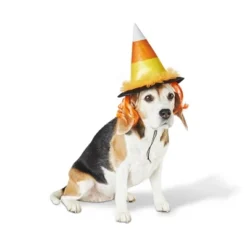 Candy Corn Witch Hat Dog And Cat Costume - Hyde And EEK! Boutique™ Black -Halloween Supplies Store GUEST 037c0a28 b98e 4f3b 9f2c 8b0db0b93ba7