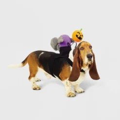 Headless Horseman Squirrel Rider Dog And Cat Costume - Hyde And EEK! Boutique™ -Halloween Supplies Store GUEST 074d438b 072e 413e 95c2 0a09aebf6a71