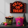 7.64" Witch Halloween Plastic Trick Or Treat Pail Dark Pink - Hyde And EEK! Boutique™