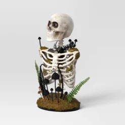 16.5" Plastic Skeleton Bust Halloween Decorative Prop - Hyde And EEK! Boutique™ -Halloween Supplies Store GUEST 402b80f2 1f76 466d 981e a0228461fc66