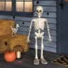 3' Animated Skeleton Halloween Decorative Prop Off-White - Hyde And EEK! Boutique™