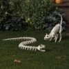 44" Snake Skeleton Halloween Decorative Prop - Hyde And EEK! Boutique™: Indoor/Outdoor Use