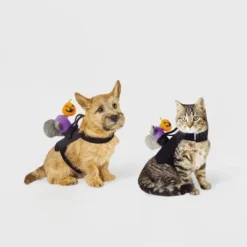 Headless Horseman Squirrel Rider Dog And Cat Costume - Hyde And EEK! Boutique™ -Halloween Supplies Store GUEST 6e9d257d 2f7c 4425 93f0 35d164d8b7a1