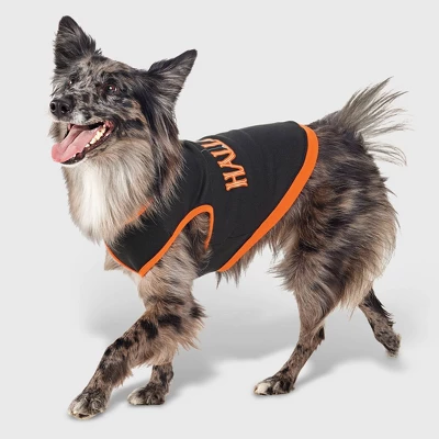 Halloween Dog And Cat Sweatshirt - Hyde And EEK! Boutique™ 6 Halloween Dog And Cat Sweatshirt - Hyde And EEK! Boutique™ - Image 6