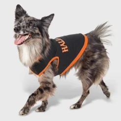 Halloween Dog And Cat Sweatshirt - Hyde And EEK! Boutique™ 10 Halloween Dog And Cat Sweatshirt - Hyde And EEK! Boutique™ -Halloween Supplies Store GUEST a08ea49c c7c8 463d 818c 7eaaac6257ef