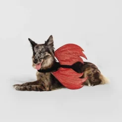 Halloween Reversible Red Devil Or Angel Wings Dog And Cat Costume - Hyde And EEK! Boutique™ -Halloween Supplies Store GUEST d5d516f3 0947 42fe bea5 e99e854c9f30